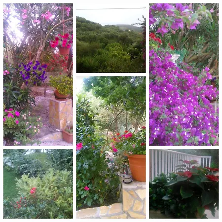 Rosemary *