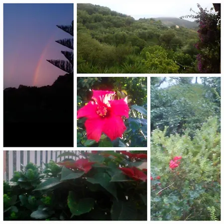 Casa vacanze Rosemary